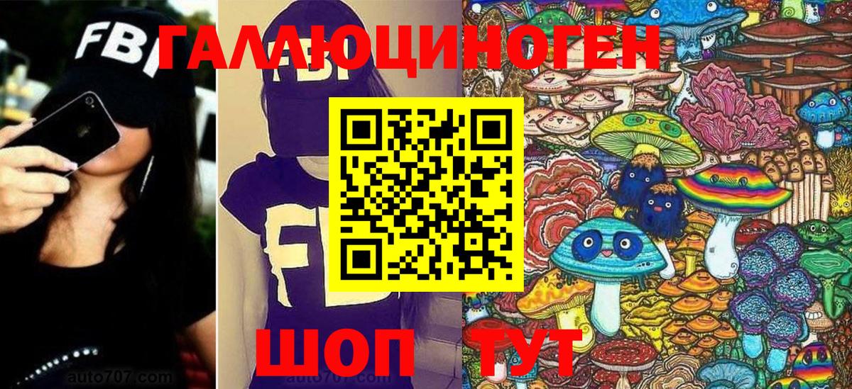 Дзержинск  Псилоцибиновые грибы мицелий  купить  сайты  Вход с VPN 