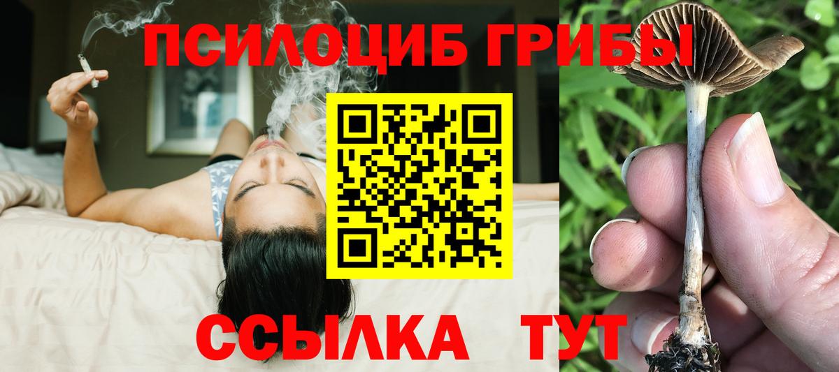 Галлюциногенные грибы Psilocybe  Псилоцибиновые грибы MAGIC MUSHROOMS  Дзержинск 
